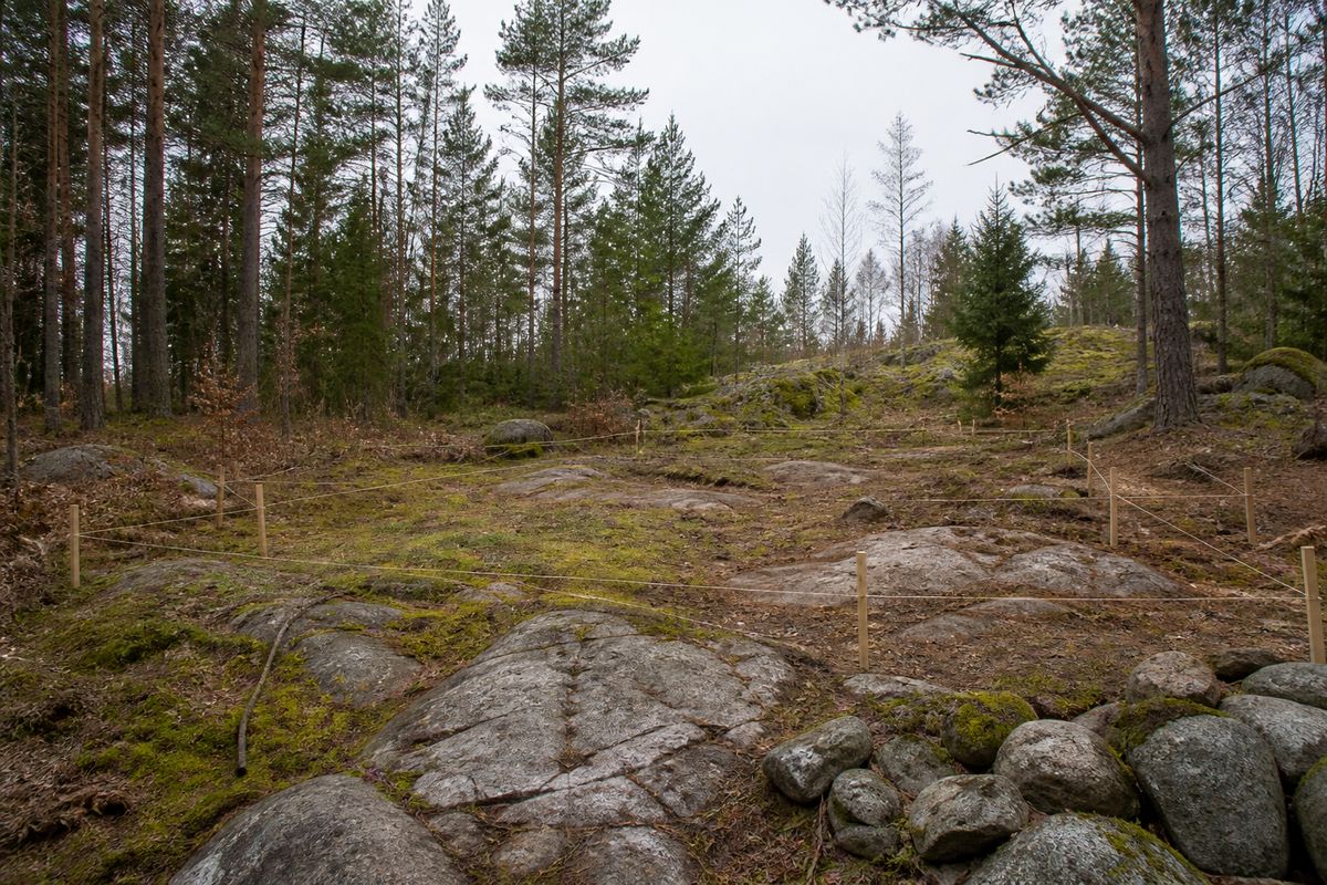 A gently sloping wooded lot with a cleared building site marked by wooden stakes and string lines