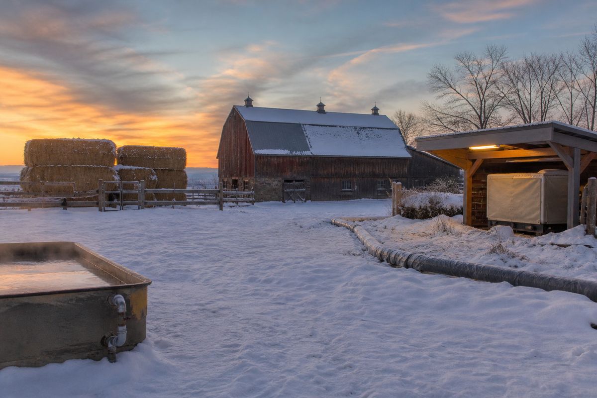 A snowy homestead farmyard at dusk with a barn, a heated livestock water trough, insulated outdoor pipes